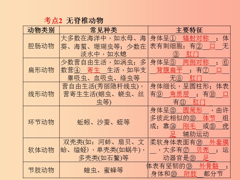 （聊城专版）2019年中考生物 第一部分 系统复习 成绩基石 第五单元 第1章 动物的主要类群课件.ppt_第3页