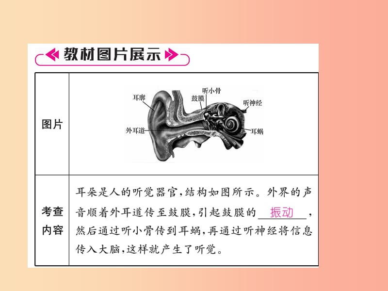 2019年八年级物理上册 第二章 声音与环境重难点、易错点突破方法技巧课件（新版）粤教沪版.ppt_第3页