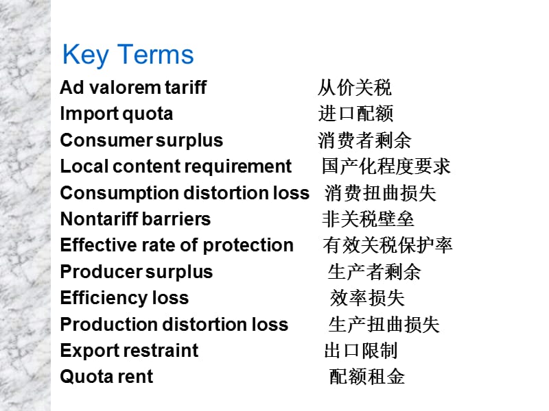 国际经济学贸易政策的工具.ppt_第2页