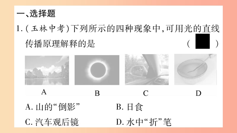 2019年八年级物理上册第4章在光的世界里综合练习第4章第1_4节习题课件新版教科版.ppt_第2页