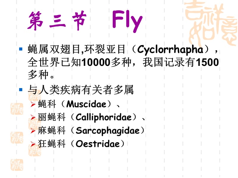 人体寄生虫学课件医学节肢动物.ppt_第2页