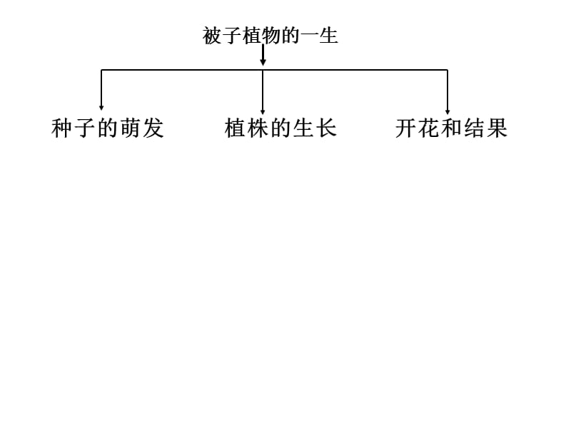 初中生物被子植物的一生.ppt_第2页