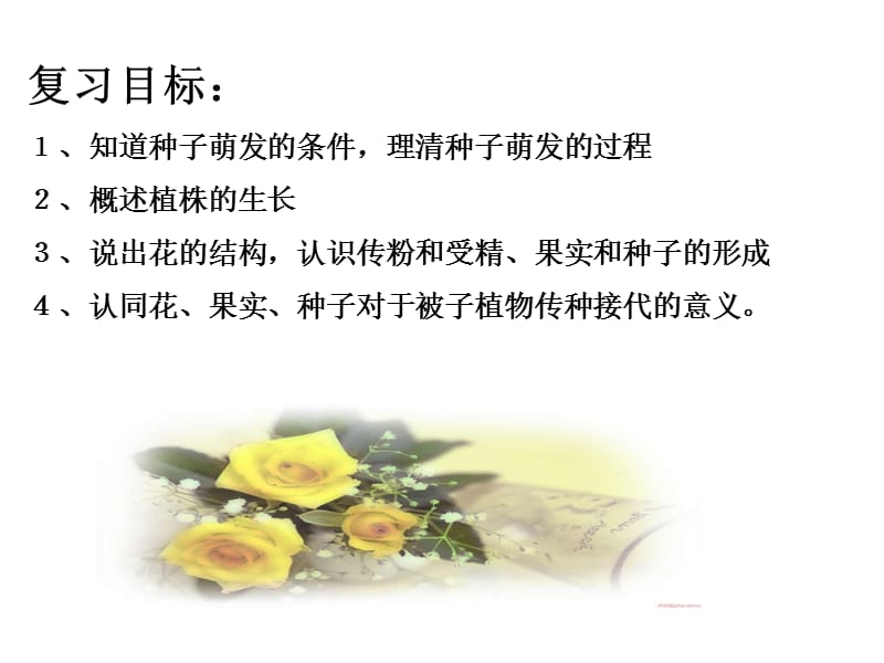 初中生物被子植物的一生.ppt_第3页