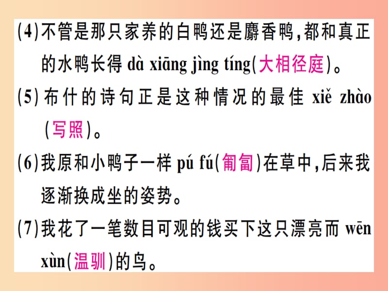 （广东专版）2019年七年级语文上册 第五单元 17动物笑谈习题讲评课件 新人教版.ppt_第3页