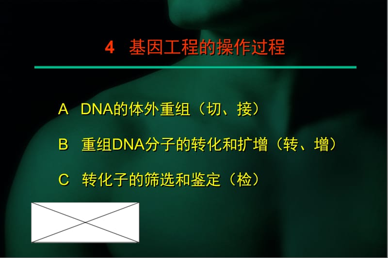 基因工程的操作过程.ppt_第1页