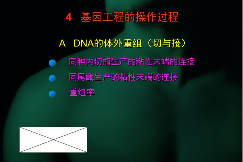 基因工程的操作过程.ppt_第3页