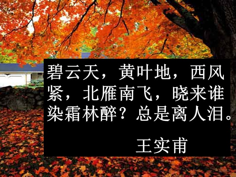 中职语文故都的秋.ppt_第3页