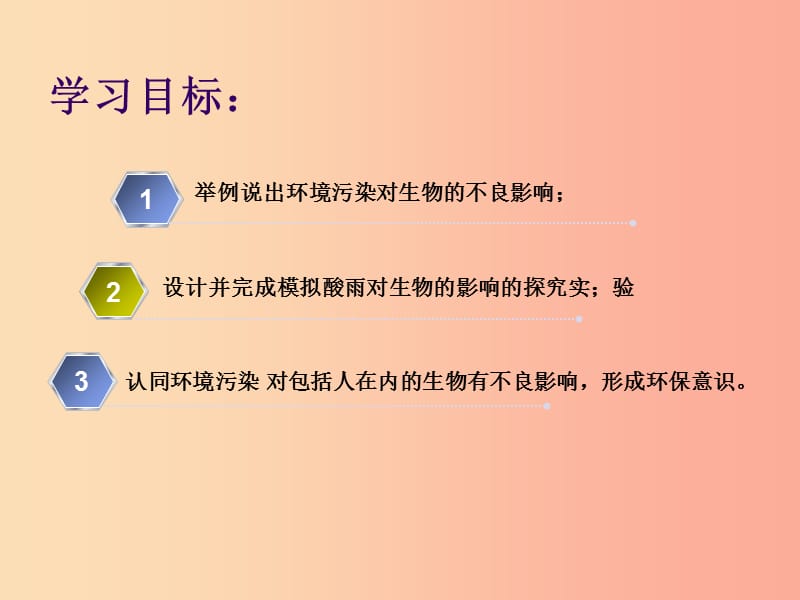 七年级生物下册4.7.2探究环境污染对生物的影响课件1鲁科版五四制.ppt_第2页