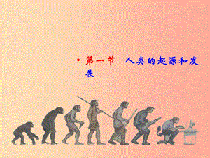 七年級(jí)生物下冊(cè)4.1.1人類的起源和發(fā)展課件1 新人教版.ppt