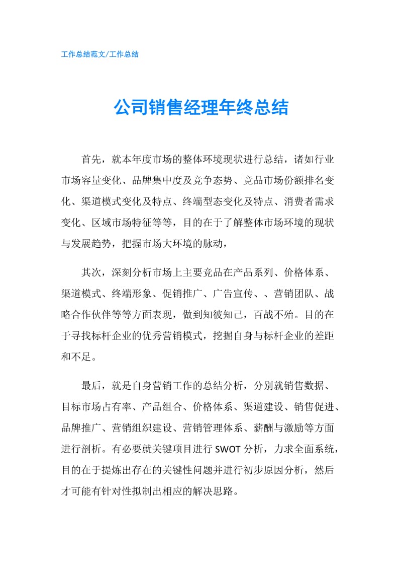 公司销售经理年终总结.doc_第1页