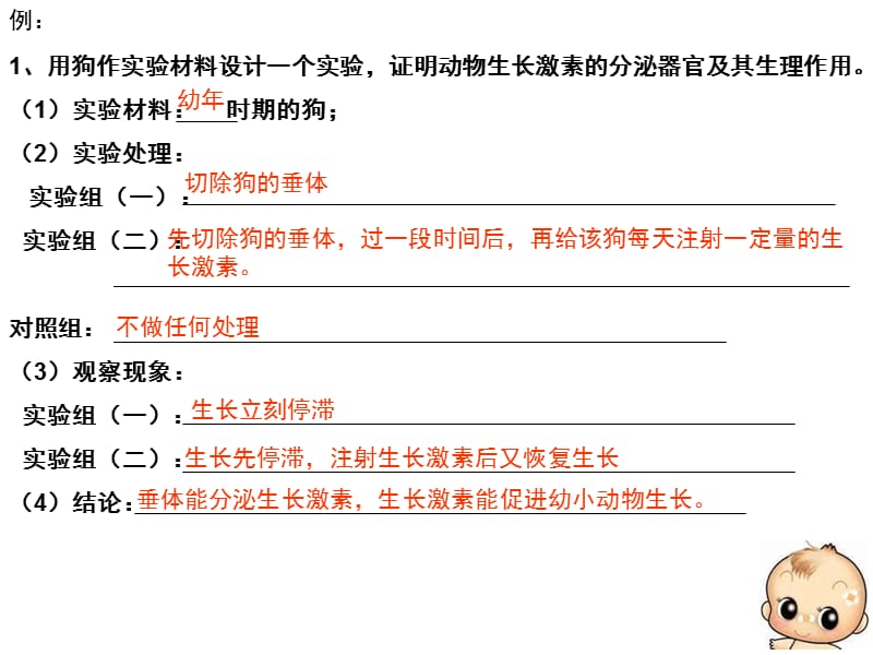 动物激素的生理作用.ppt_第2页