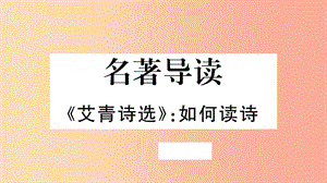 （河北專版）2019年秋九年級(jí)語文上冊(cè) 第1單元 名著導(dǎo)讀《艾青詩選》如何讀詩習(xí)題課件 新人教版.ppt