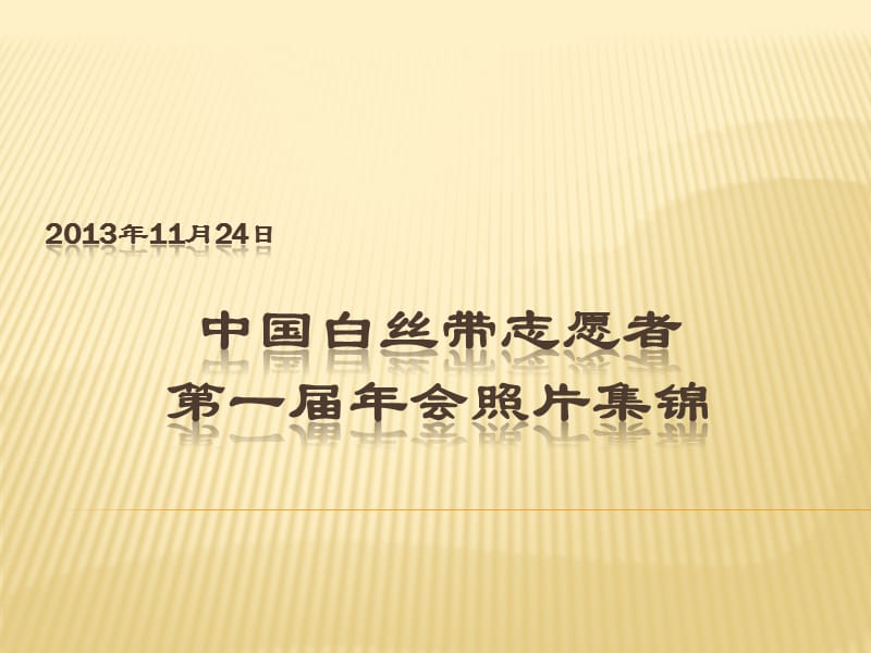 中国白丝带志愿者第一届年会照.ppt_第1页