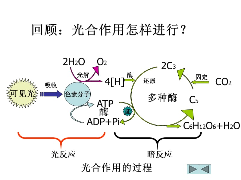 光能在叶绿体中的转换高三生物选修课件人教版.ppt_第3页