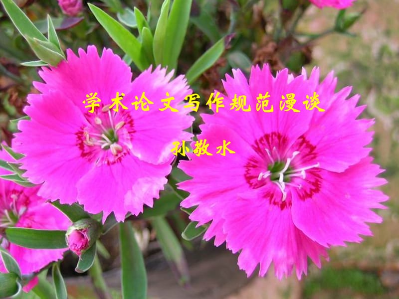 学术论文写作规范漫谈.ppt_第1页