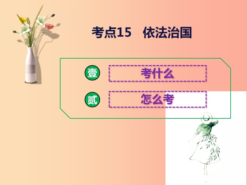 2019中考道德与法治二轮复习 考点15 依法治国课件.ppt_第1页