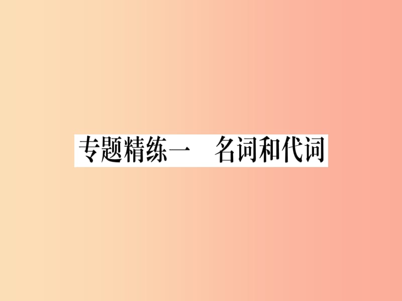 （课标版）2019年中考英语准点备考 专题精练一 名词和代词课件.ppt_第1页