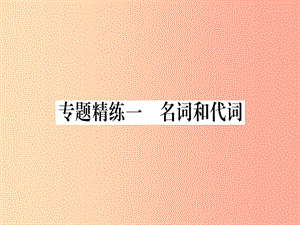 （課標版）2019年中考英語準點備考 專題精練一 名詞和代詞課件.ppt