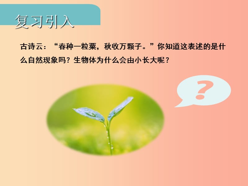 中考（江西专用）2019中考生物 二（二）细胞分裂、分化形成组织习题课件.ppt_第2页