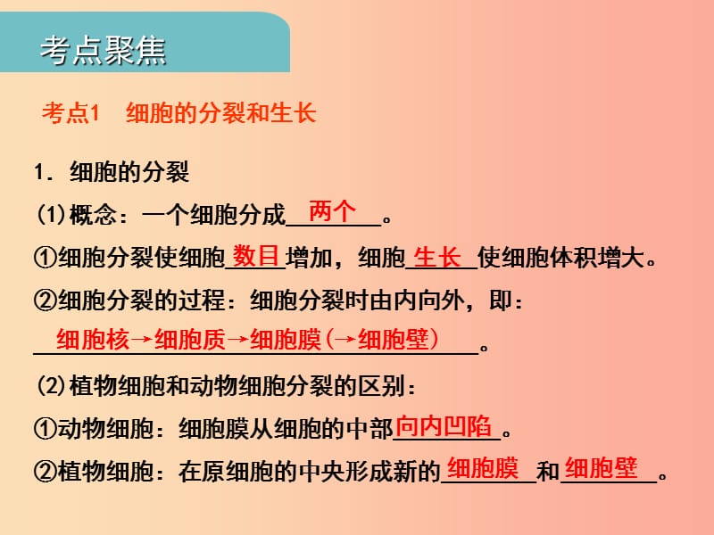 中考（江西专用）2019中考生物 二（二）细胞分裂、分化形成组织习题课件.ppt_第3页