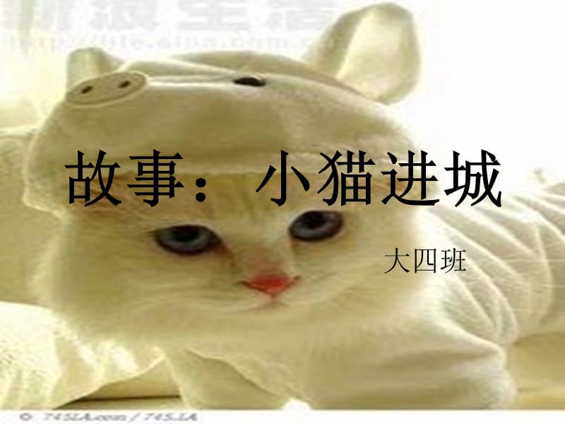 大班下学期课件故事《小猫进城》.ppt_第1页