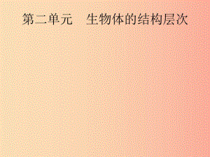 （課標(biāo)通用）甘肅省2019年中考生物總復(fù)習(xí) 第二單元 生物體的結(jié)構(gòu)層次 第三講 細(xì)胞是生命活動(dòng)的基本單位課件.ppt