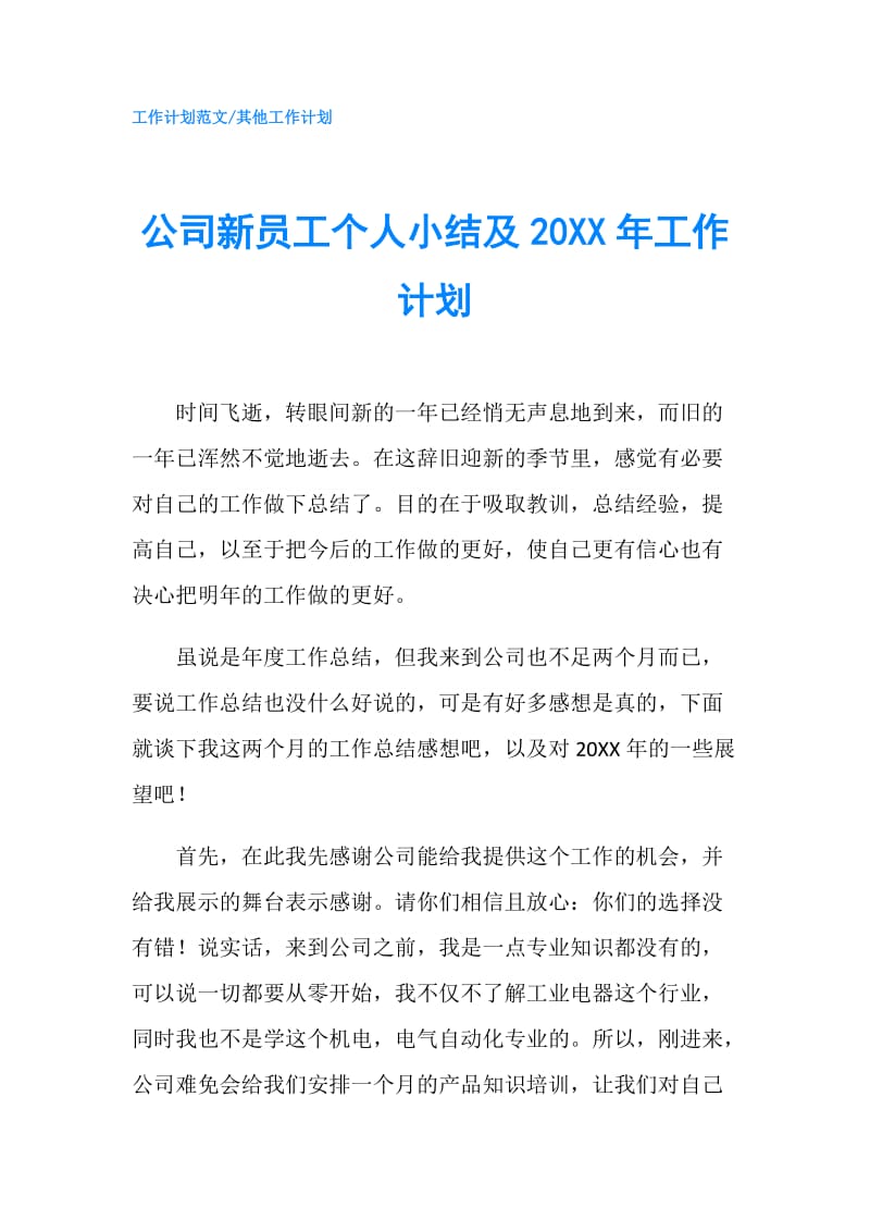 公司新员工个人小结及20XX年工作计划.doc_第1页