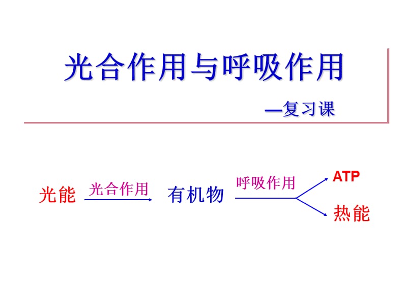 光合作用与呼吸作用复习.ppt_第1页