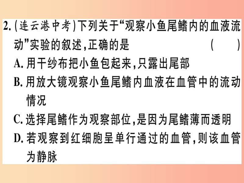 2019春八年级生物下册 专题复习六 人体内物质的运输及废物的排出习题课件（新版）北师大版.ppt_第2页