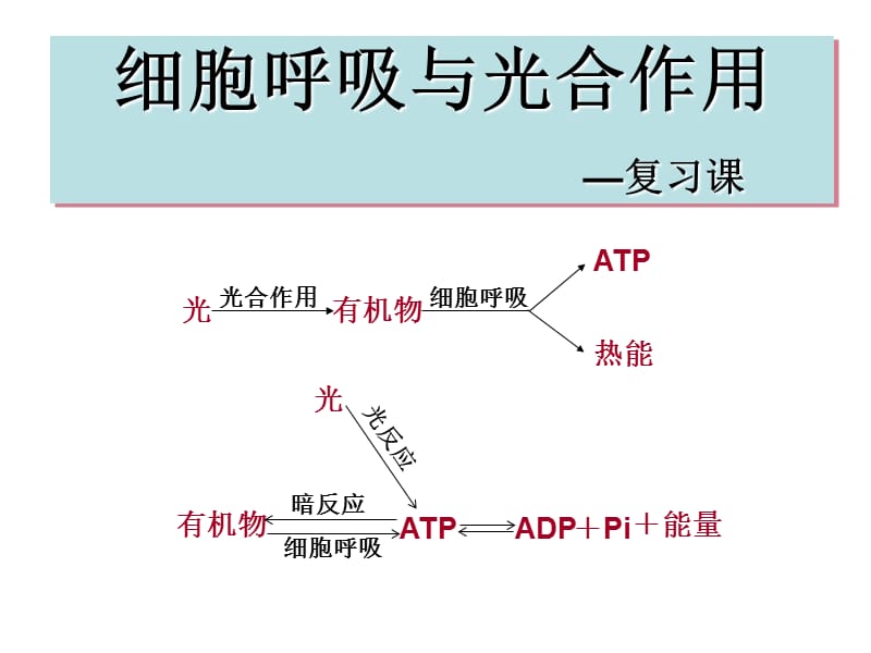 光合作用和呼吸作用复习.ppt_第1页