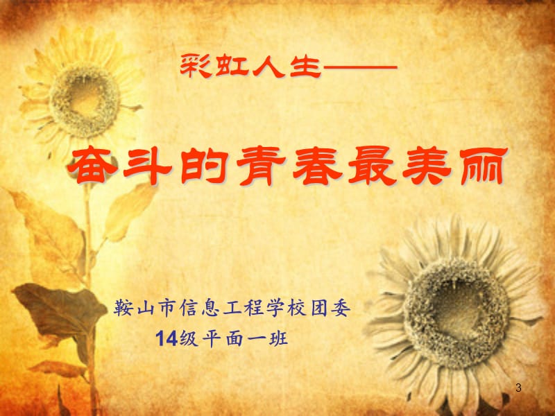 奋斗的青春最美丽分享会.ppt_第3页