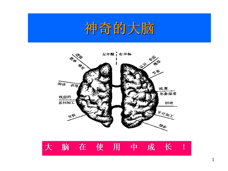 儿童生理机能训练与评定.ppt_第1页