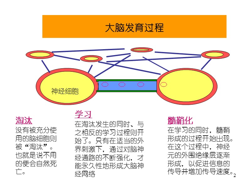 儿童生理机能训练与评定.ppt_第2页