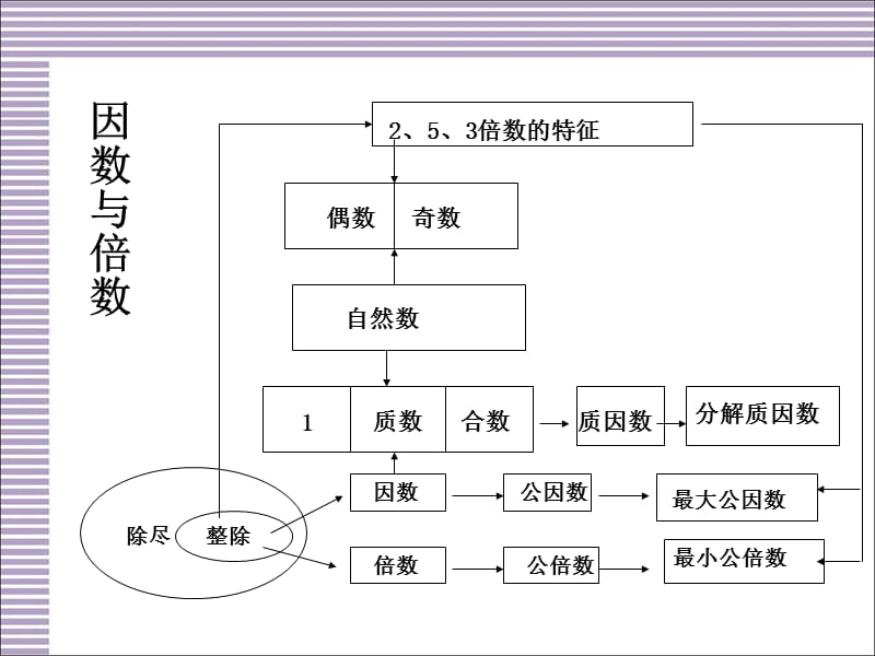 五下册数学第二单元因数与倍数总复习.ppt_第3页