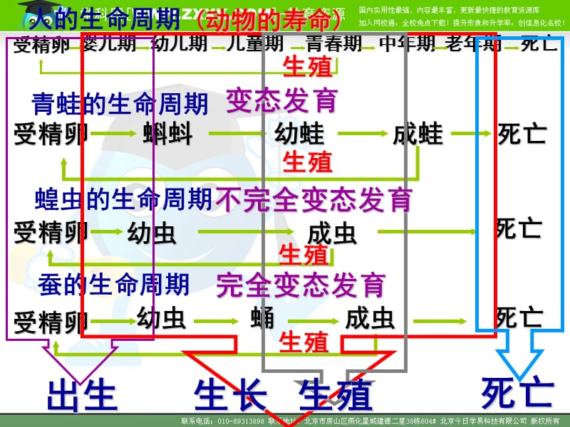 九年级生物动物的生殖和发育-中考复习专题课件.ppt_第3页