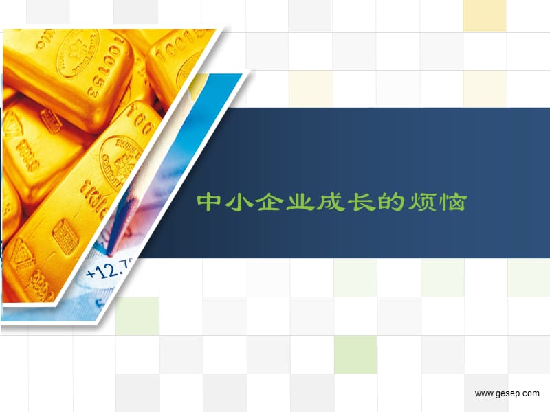 中小企业成长的烦恼.ppt_第2页