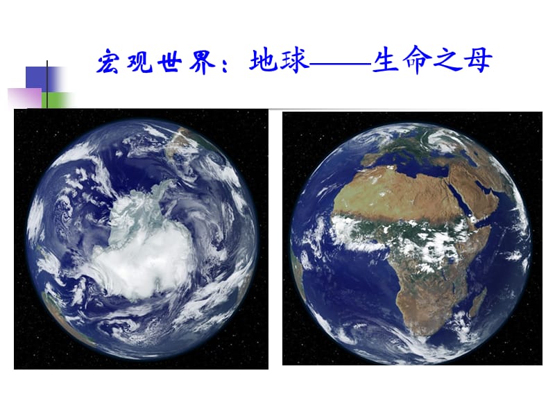 从生物圈到细胞ppt孙灵凤.ppt_第2页