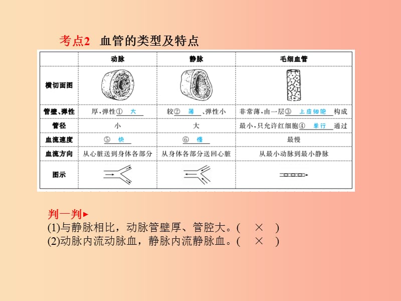 聊城专版2019年中考生物第一部分系统复习成绩基石第4单元第4章人体内物质的运输课件.ppt_第3页