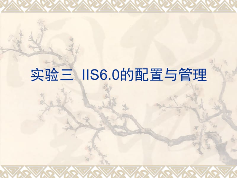 实验三IIS6的配置与管理.ppt_第1页