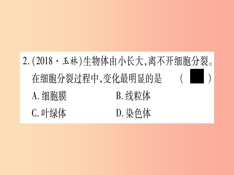 （玉林专版）2019年中考生物总复习 七上 第2单元 第2章 细胞怎样构成生物体习题课件.ppt_第3页