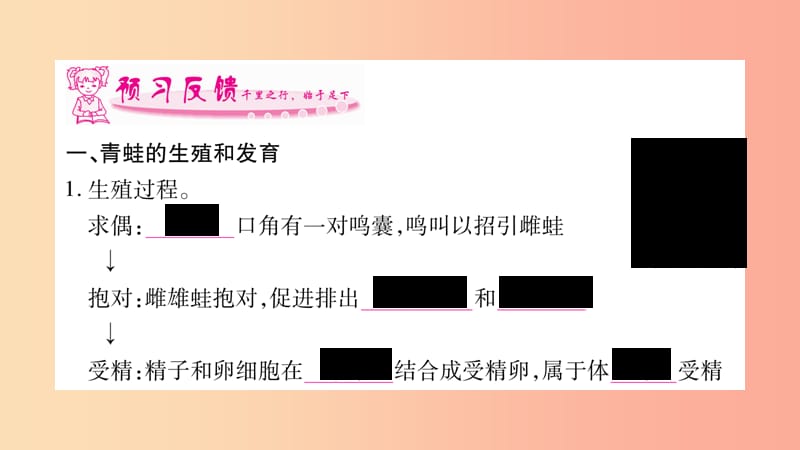 2019年八年级生物下册 7.1.3 两栖动物的生殖和发育课件 新人教版.ppt_第2页