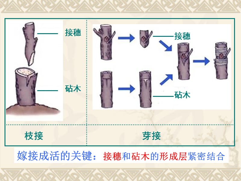 八下第七单元第一章、第八单元知识点配例题复习.ppt_第3页