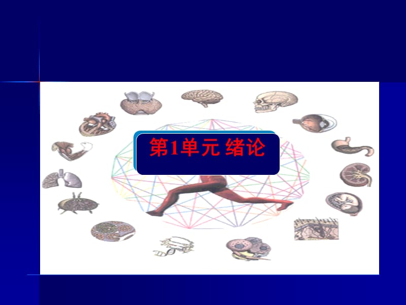 人体生理功能(第一章).ppt_第1页