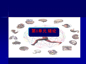 人體生理功能(第一章).ppt