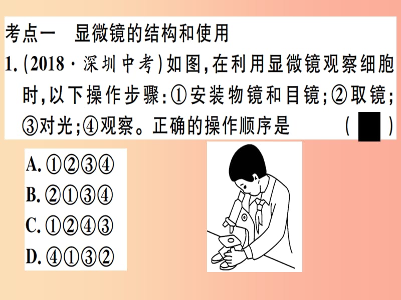 2019春八年级生物下册 专题一 细胞和生物习题课件 新人教版.ppt_第1页