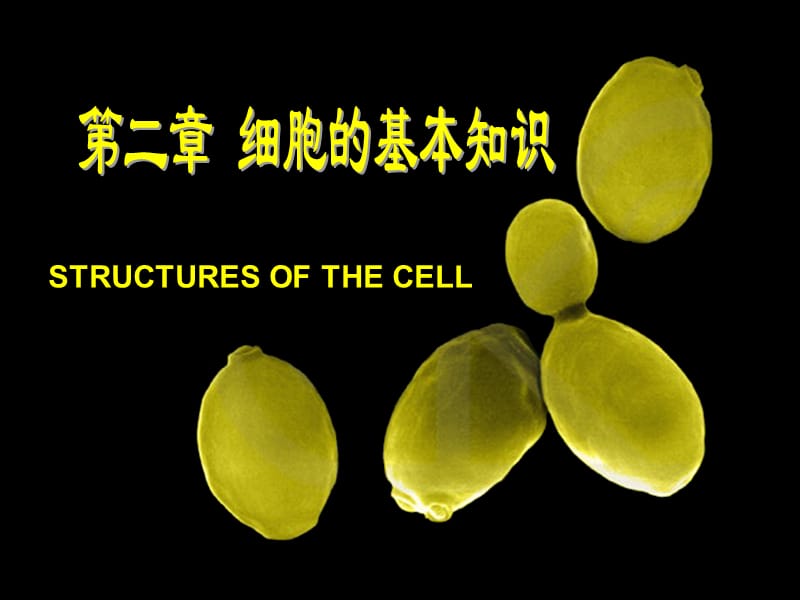 分子生物学大学ppt第二章.ppt_第1页