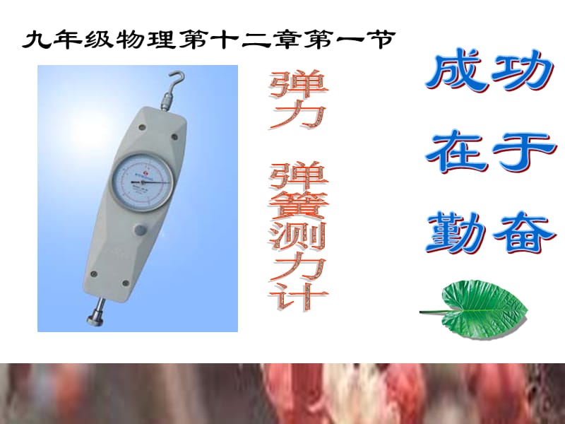 初三物理弹力 弹簧测力计.ppt_第1页