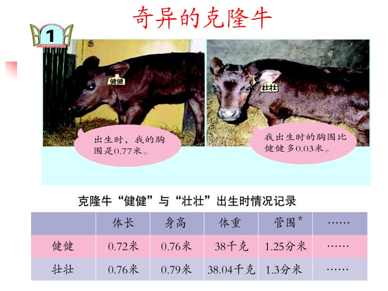 克隆牛-青岛版数学四年级下册小数加减法.ppt_第2页