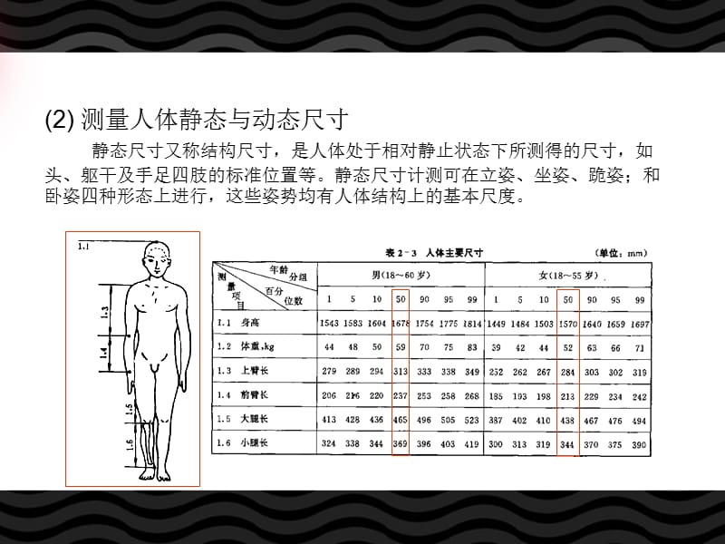 人体静态与动态尺寸.ppt_第1页