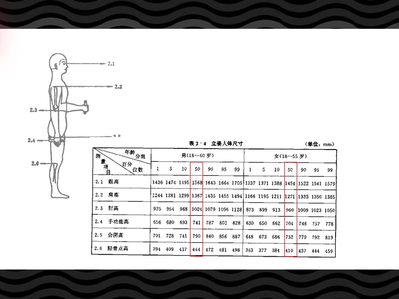 人体静态与动态尺寸.ppt_第2页